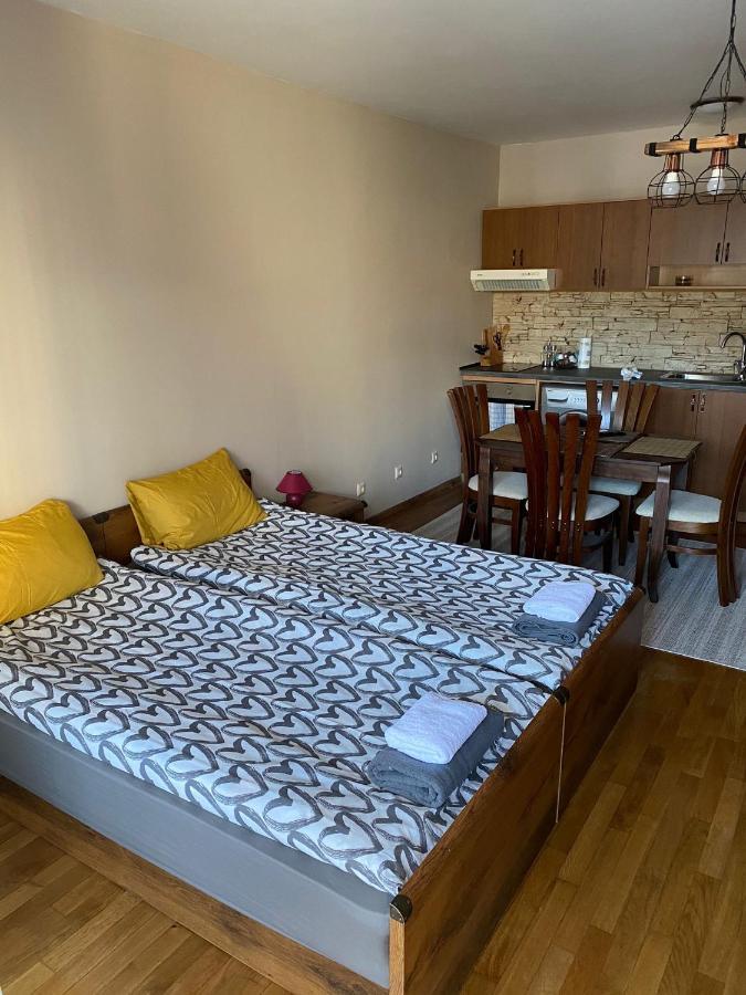 Bansko SPA Studio at Predela1 Esterno foto